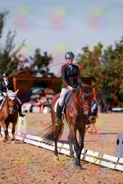 2026_10_03_Siefer-Hof_125937_Z81_50797220 | Professionelle Reitsport-, Turnier- und Eventfotografie von Robert Broda. Galerien mit ausgewählten und bearbeiteten Bildern direkt online ansehen und bestellen.