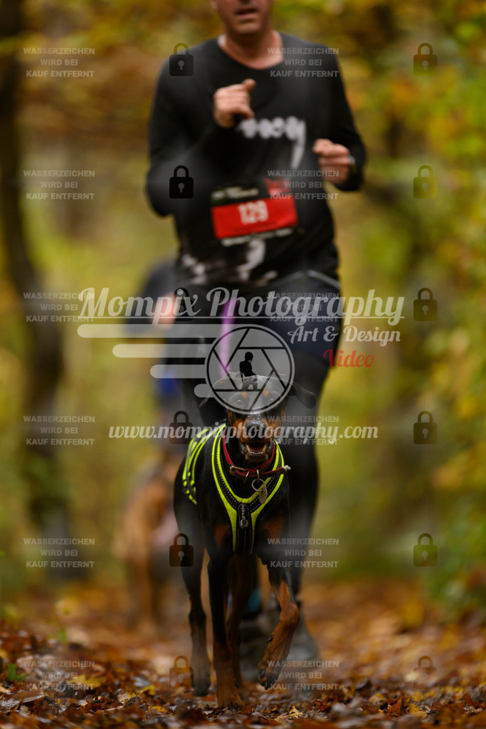 MompixPhotography_CD7S_DI_CCL-93 | mompixphotography