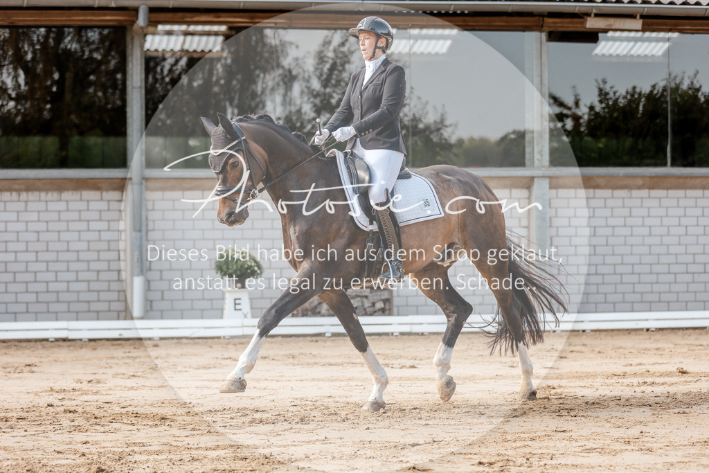 3I6A3461 | Stimmungsvolle Portraits und Reitsportfotografie im Ruhrgebiet und im Münsterland.

Pferdefotografie, Hundefotografie, Tierfotografie, Reportagen, Portraits von Tier und Mensch, Turnierfotografie in Bochum, Recklinghausen, Marl, Haltern am See, Dülmen.. - Realisiert mit Pictrs.com