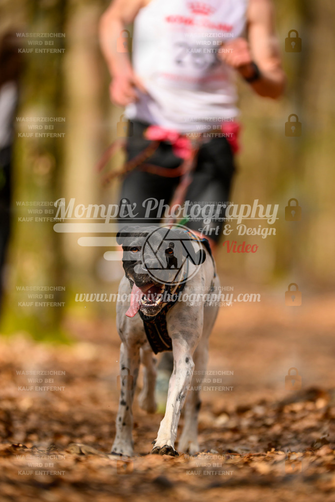 MompixPhotography_Habay2025_SA_CCC-85 | PayLife