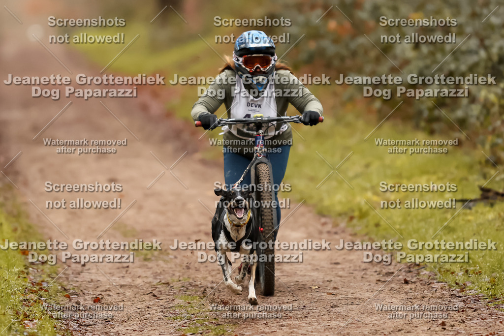 Dog Paparazzi - Speedhunter Mannheim  2025-107 | Dog Paparazzi Jeanette Grottendiek Fotografie & Videografie