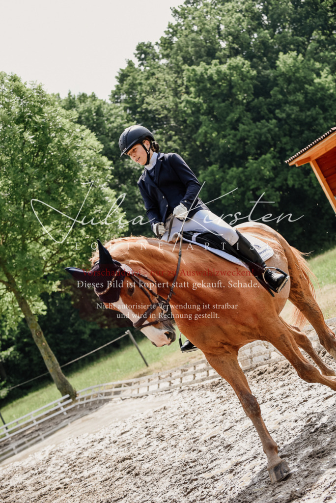 DSC_9987 | Pferde- und Turnierfotografie in Westsachsen. Pferdeportraits, Auftragszeichnungen und intuitive Kunst.