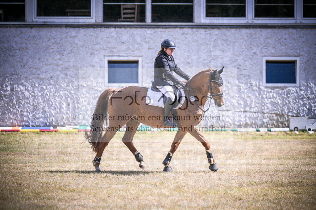DOS_0297 | Entdecke hochwertige Reitturnierfotos von Foto Oger. Professionell, emotional und authentisch – jetzt Lieblingsmomente im Shop bestellen.Deutschlandweite Turnierfotografie. - Realisiert mit Pictrs.com