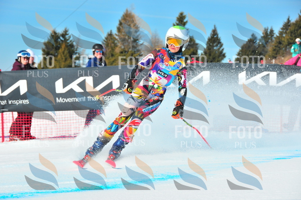 DSC_3720 | holidayphoto