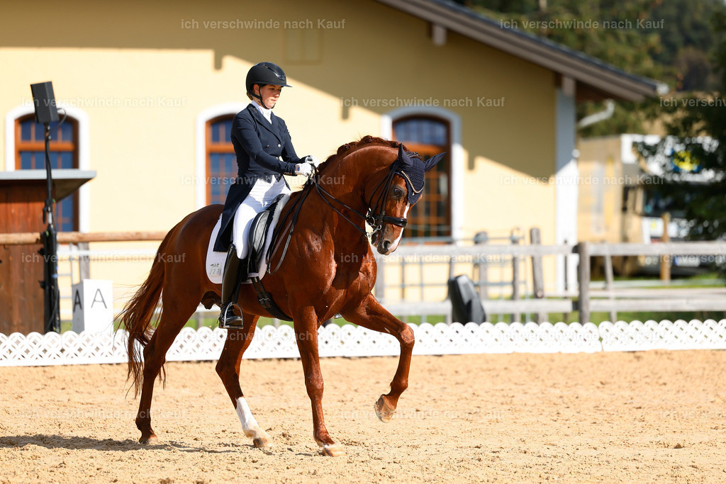 09_2-223-DRESSUR  S_  -StoibPH-5796 | working equitationturnier fotograf videograf stoibphotography marixx film working equitation deutschland reitsport turnierfotografie eventfotografie equestrian events