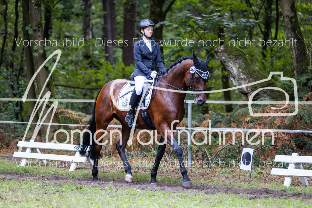 HB-Dressur-WB-103 | MomenTaufnahmen Pferdesportfotos