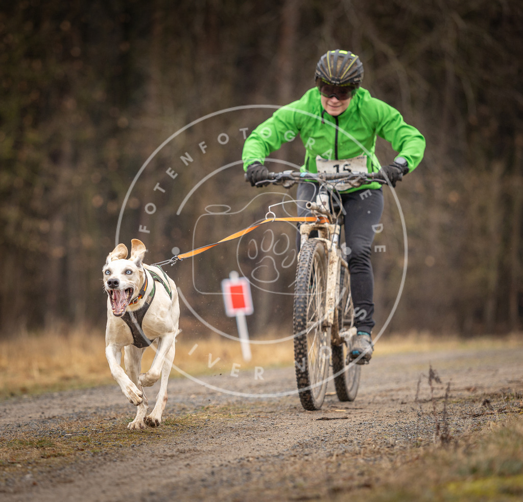 DV3A3276 | Hundefotografie, Tierfotograf, Pfotenfotografie, Fotoshooting Hund, Hunde Portrait, Hundesport, Hundeportraits, Heideshooting, Hunde, Sportfotograf, Hundefotograf, Turnierhundsport, THS,  - Realisiert mit Pictrs.com