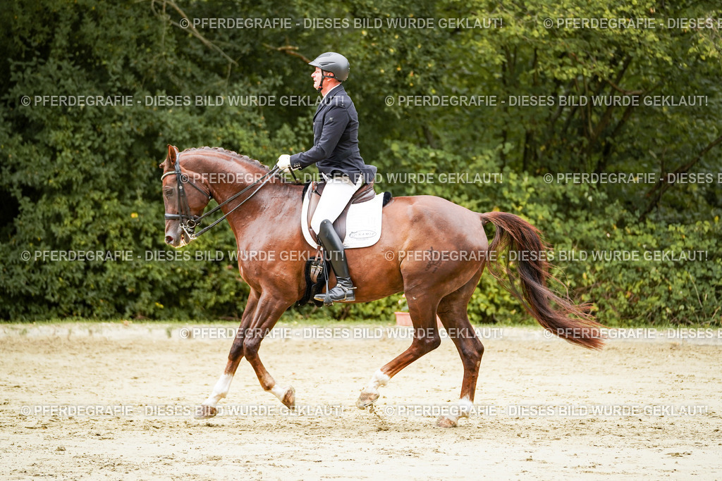 DSC03804 | Pferdegrafie