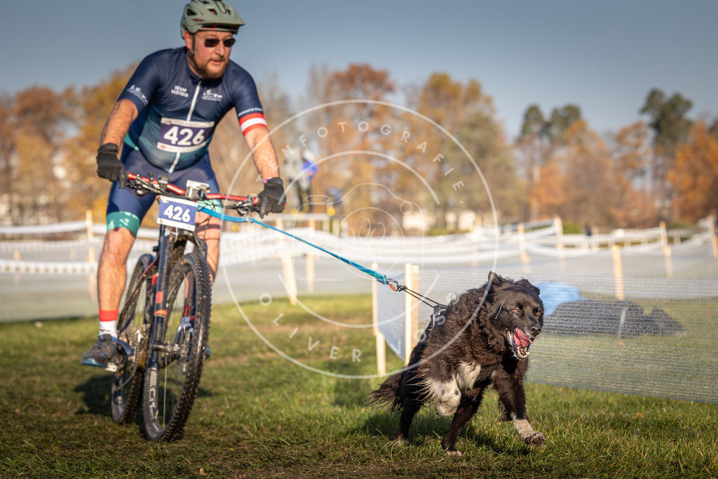 CaniXpix_0L8A4233 | Hundefotografie, Tierfotograf, Pfotenfotografie, Fotoshooting Hund, Hunde Portrait, Hundesport, Hundeportraits, Heideshooting, Hunde, Sportfotograf, Hundefotograf, Turnierhundsport, THS,  - Realisiert mit Pictrs.com