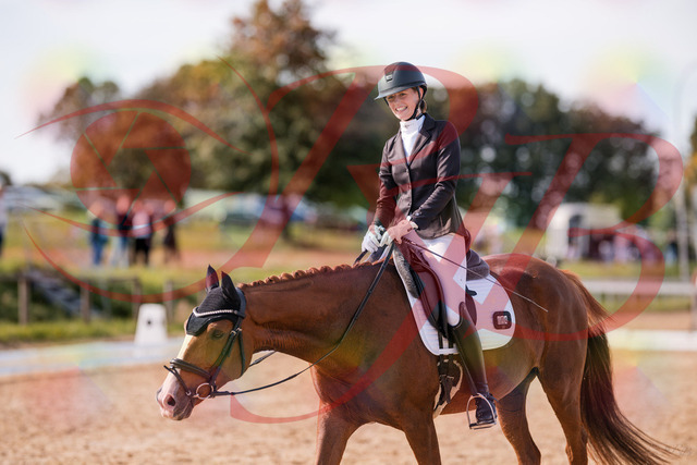 2026_10_03_Siefer-Hof_133323_Z81_92151356 | Professionelle Reitsport-, Turnier- und Eventfotografie von Robert Broda. Galerien mit ausgewählten und bearbeiteten Bildern direkt online ansehen und bestellen.