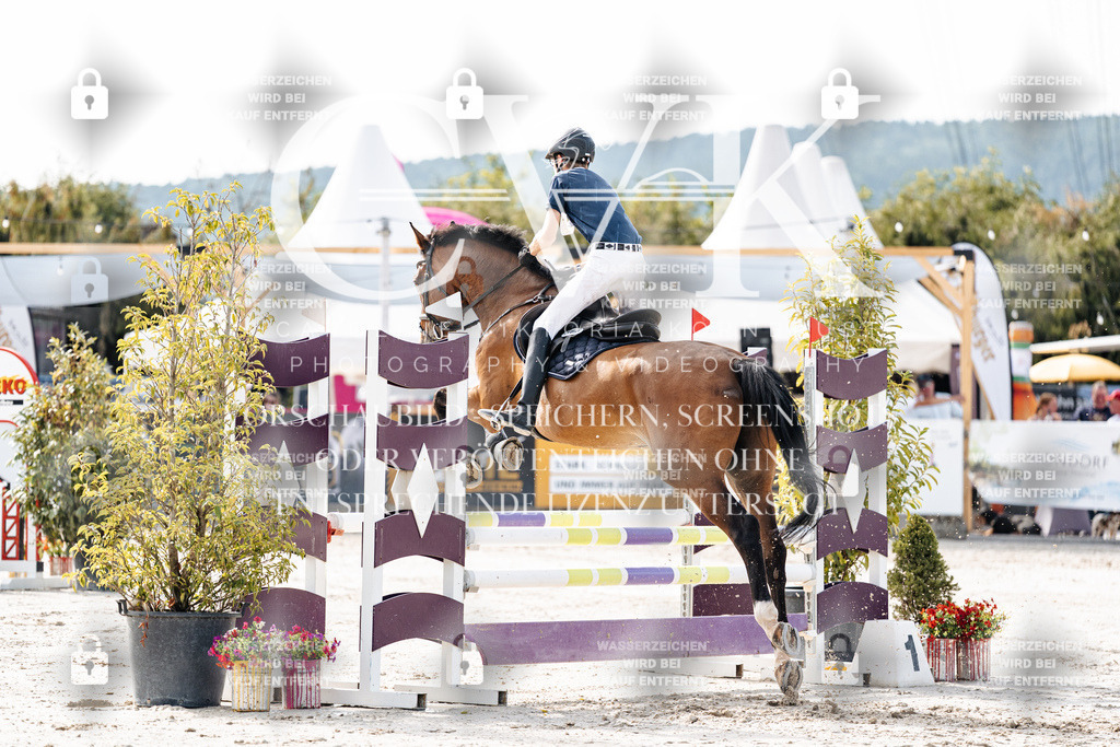CK905466 | Turnierfotografie Pferdefotografie Trier Rheinland-Pfalz Pferdesport Reitsport Tierfotografie Sportfotografie Pferdevideo Pferdevideografie Equestrianvideography equestrianphotography  - Realisiert mit Pictrs.com