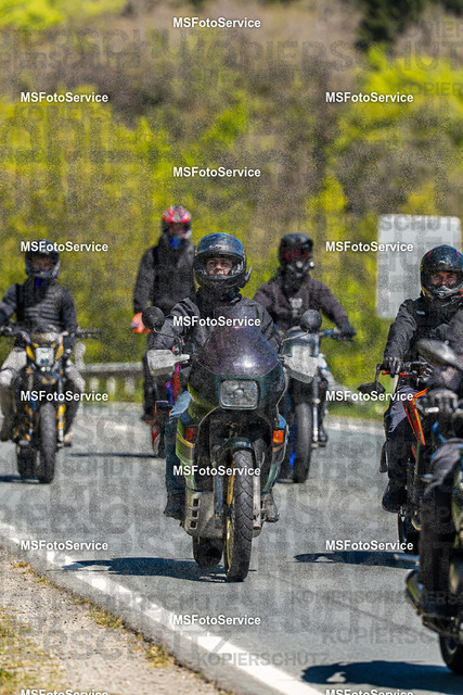 MSFotoServiceXXX298 | MSFotoService - Realisiert mit Pictrs.com