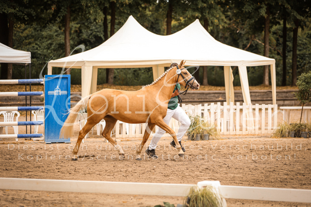 08.So00016 | Leoni Ertmer Photography - Realisiert mit Pictrs.com