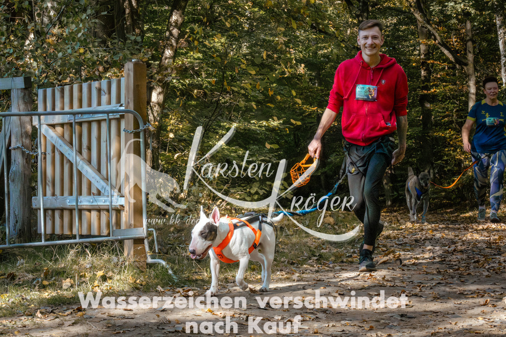 1237_ZZ95733 | kk-dogfotos