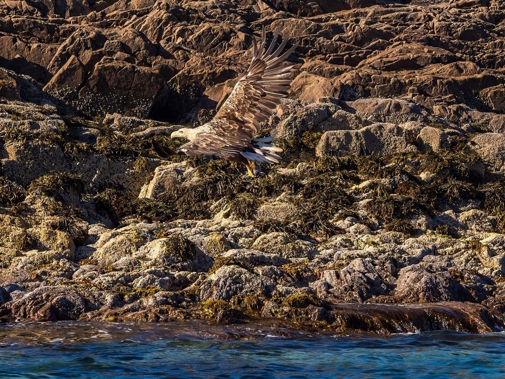 P1001647-LR-topaz-denoise-enhance | Natur im Moment - Realisiert mit Pictrs.com