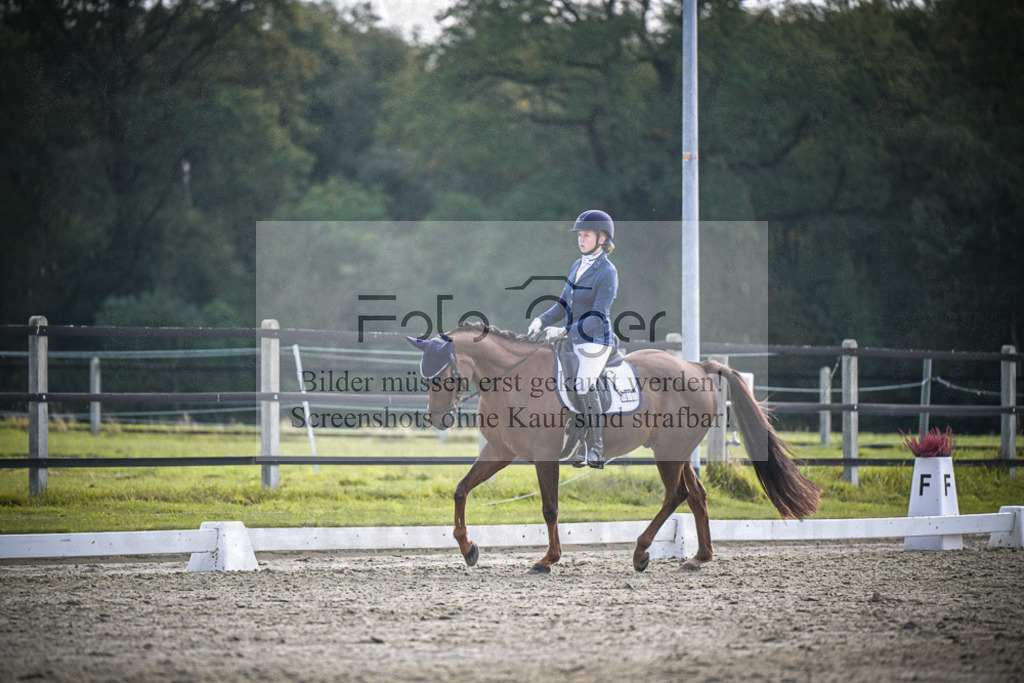 DOS_B159 | Entdecke hochwertige Reitturnierfotos von Foto Oger. Professionell, emotional und authentisch – jetzt Lieblingsmomente im Shop bestellen.Deutschlandweite Turnierfotografie. - Realisiert mit Pictrs.com
