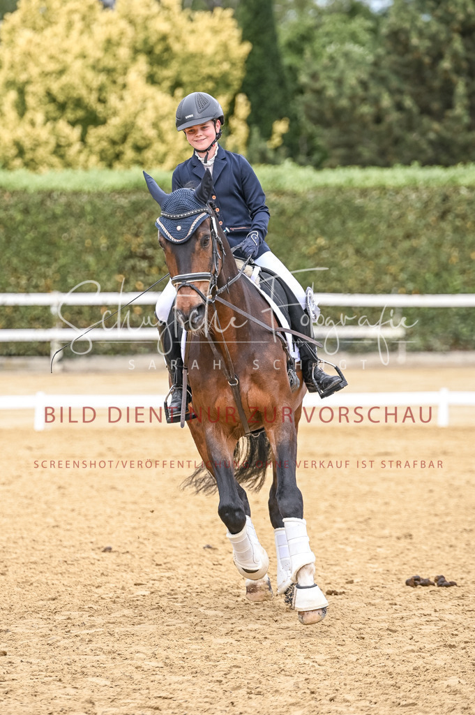 Schugtsche-Aluta25-44.DresssurreiterWB-389 | Schugtsche Fotografie - Realisiert mit Pictrs.com