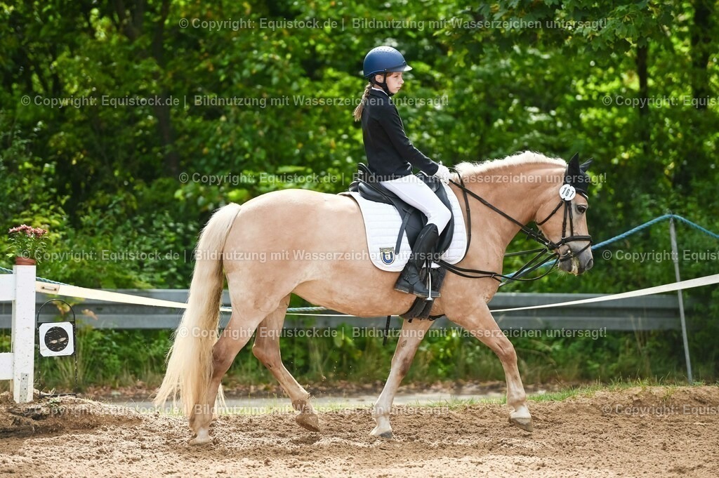 20230716_10-2_Reiter-WB Schritt - Trab - Galopp_0028 | equistock