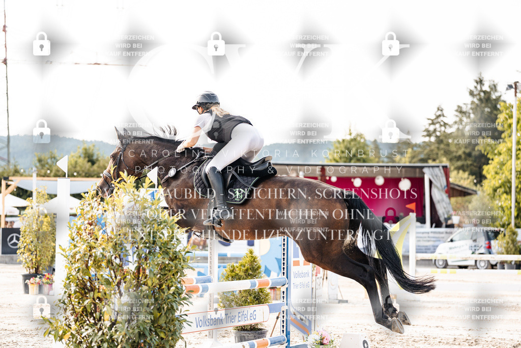 CK906149 | Turnierfotografie Pferdefotografie Trier Rheinland-Pfalz Pferdesport Reitsport Tierfotografie Sportfotografie Pferdevideo Pferdevideografie Equestrianvideography equestrianphotography  - Realisiert mit Pictrs.com