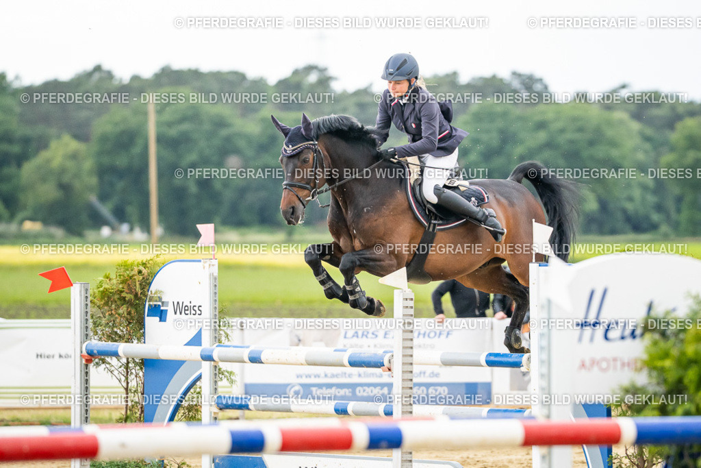 DSC06740 | Pferdegrafie