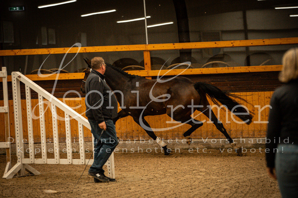 1FS_L00014 | Leoni Ertmer Photography - Realisiert mit Pictrs.com