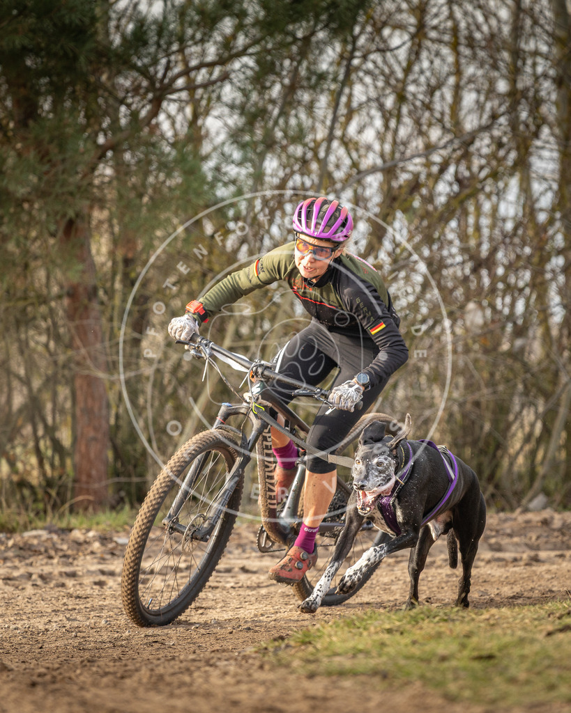 Pfotenfotografie_DV3A7438 | Hundefotografie, Tierfotograf, Pfotenfotografie, Fotoshooting Hund, Hunde Portrait, Hundesport, Hundeportraits, Heideshooting, Hunde, Sportfotograf, Hundefotograf, Turnierhundsport, THS,  - Realisiert mit Pictrs.com