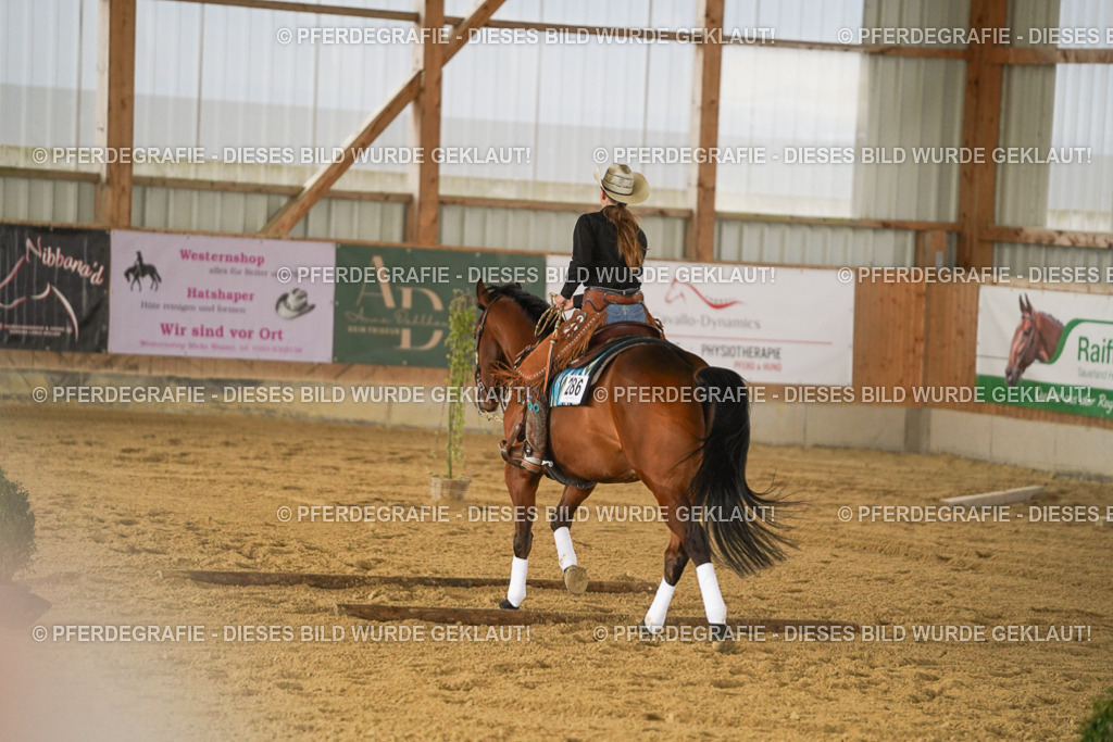 DSC04446 | Pferdegrafie