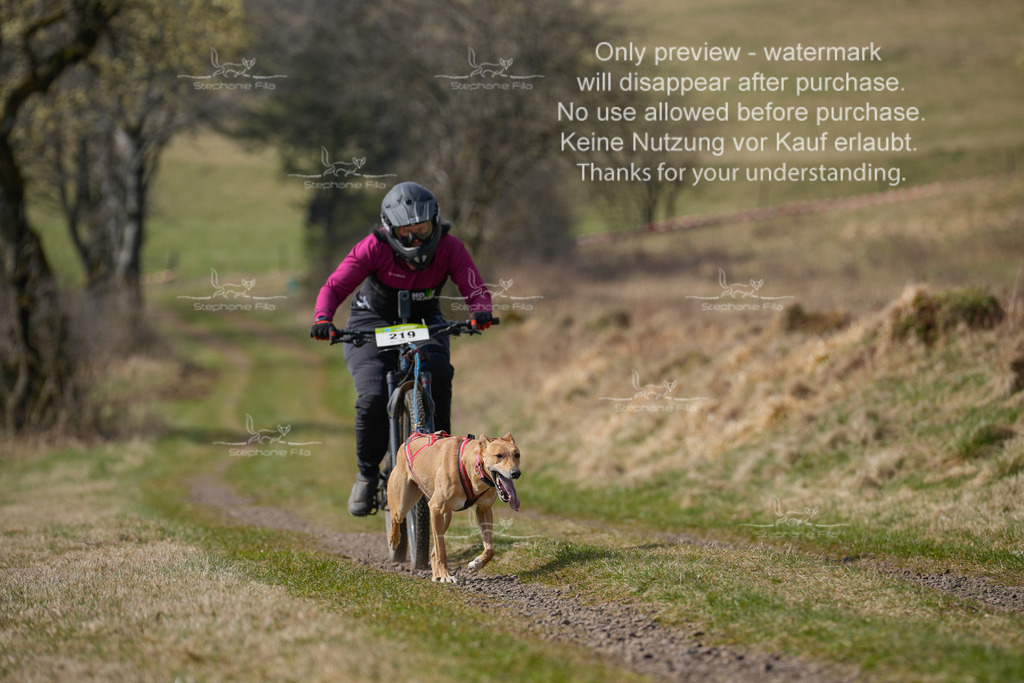 Bike_Lang-286 | stephaniefillaphotographie - Realisiert mit Pictrs.com