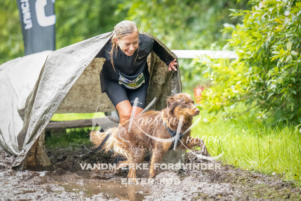 0952_ZZ91805-Bearbeitet | kk-dogfotos