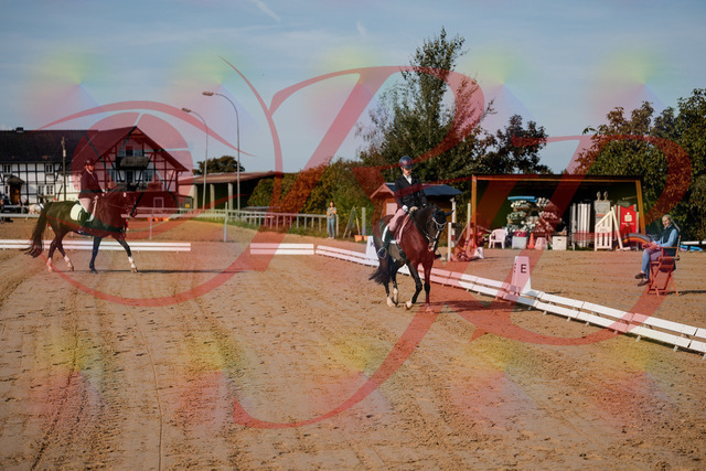 2026_10_03_Siefer-Hof_113338_Z63_20014257 | Professionelle Reitsport-, Turnier- und Eventfotografie von Robert Broda. Galerien mit ausgewählten und bearbeiteten Bildern direkt online ansehen und bestellen.