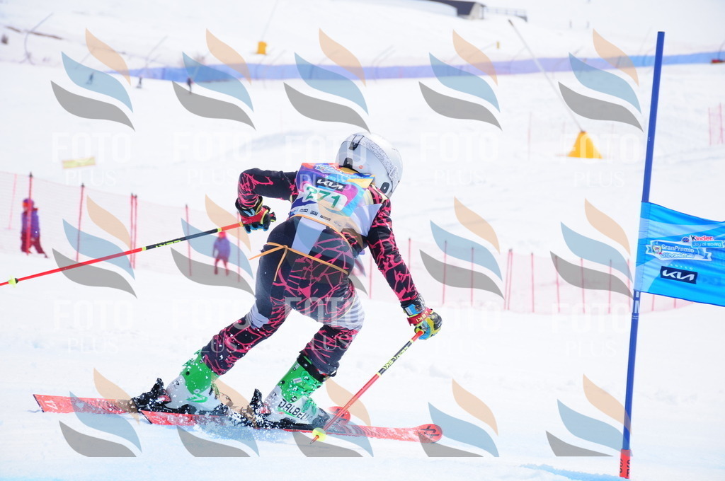 DSC_2597 | holidayphoto