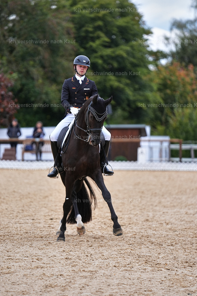 12-229-DRESSUR  S___  -Marixx-5239 | working equitationturnier fotograf videograf stoibphotography marixx film working equitation deutschland reitsport turnierfotografie eventfotografie equestrian events