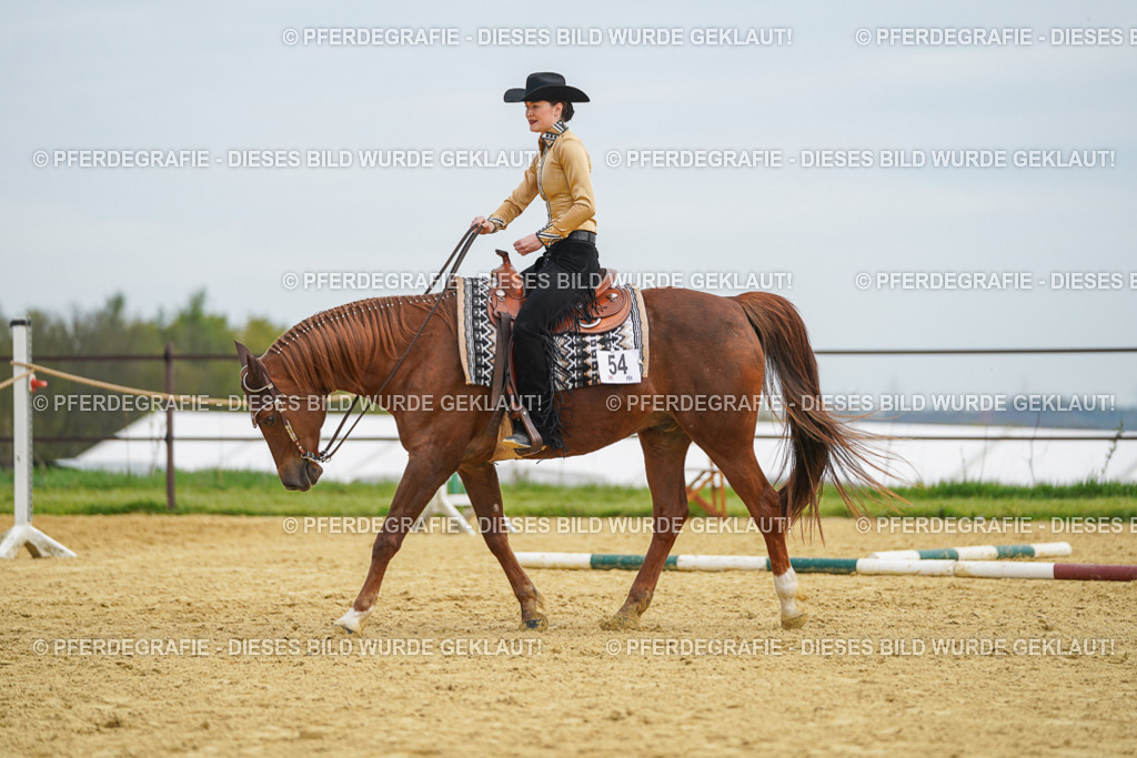 DSC03328 | Pferdegrafie