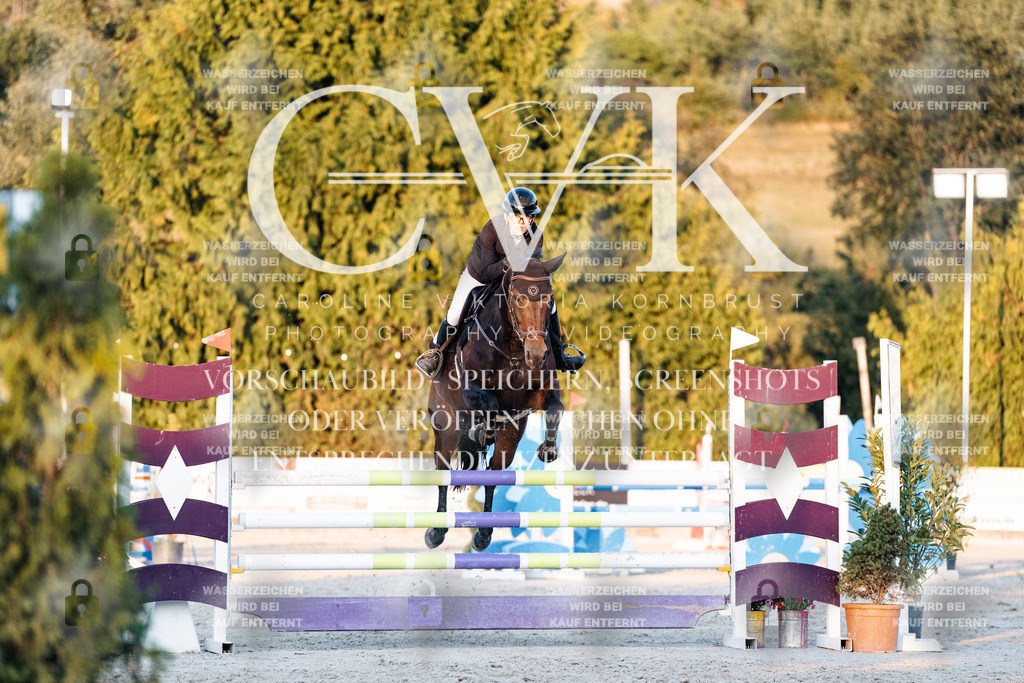 CK901227 | Turnierfotografie Pferdefotografie Trier Rheinland-Pfalz Pferdesport Reitsport Tierfotografie Sportfotografie Pferdevideo Pferdevideografie Equestrianvideography equestrianphotography  - Realisiert mit Pictrs.com