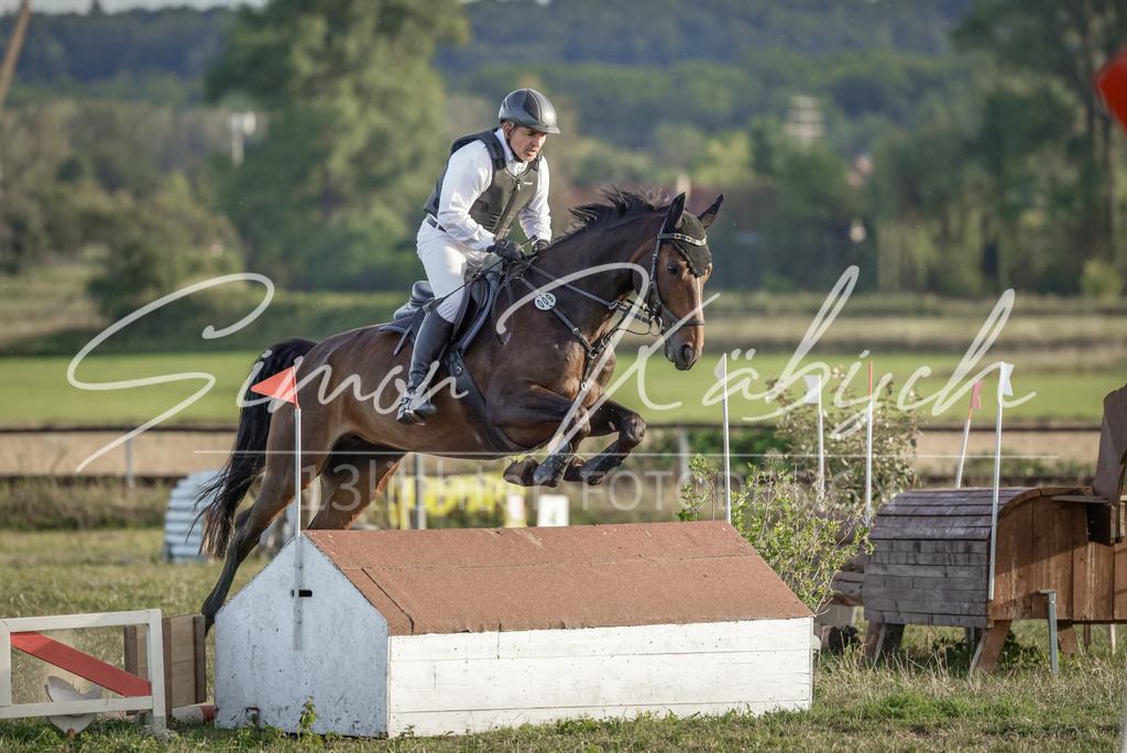 20250906-_3LI7883 | Tierfotografie Pferde, Hunde, Katzen, Haustiere.
Turnierfotografie Reitturniere, Reiten, Springreiten, Dressur in Hanau, dem Main-Kinzig-Kreis und dem Rhein-Main- Gebiet um Frankfurt