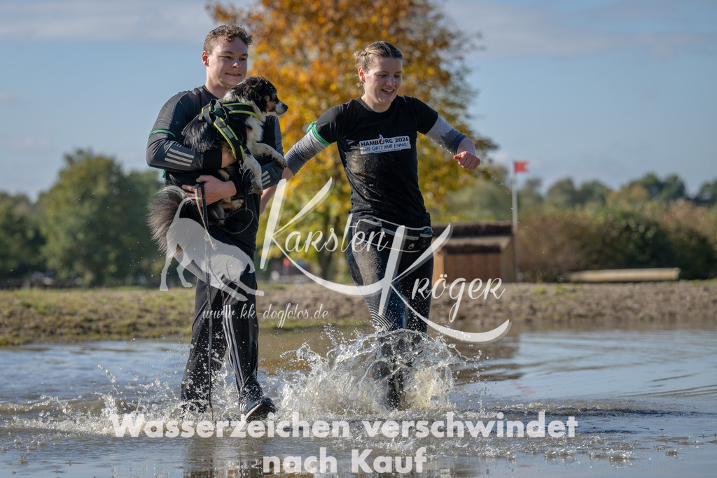 1329_ZZ90588 | kk-dogfotos