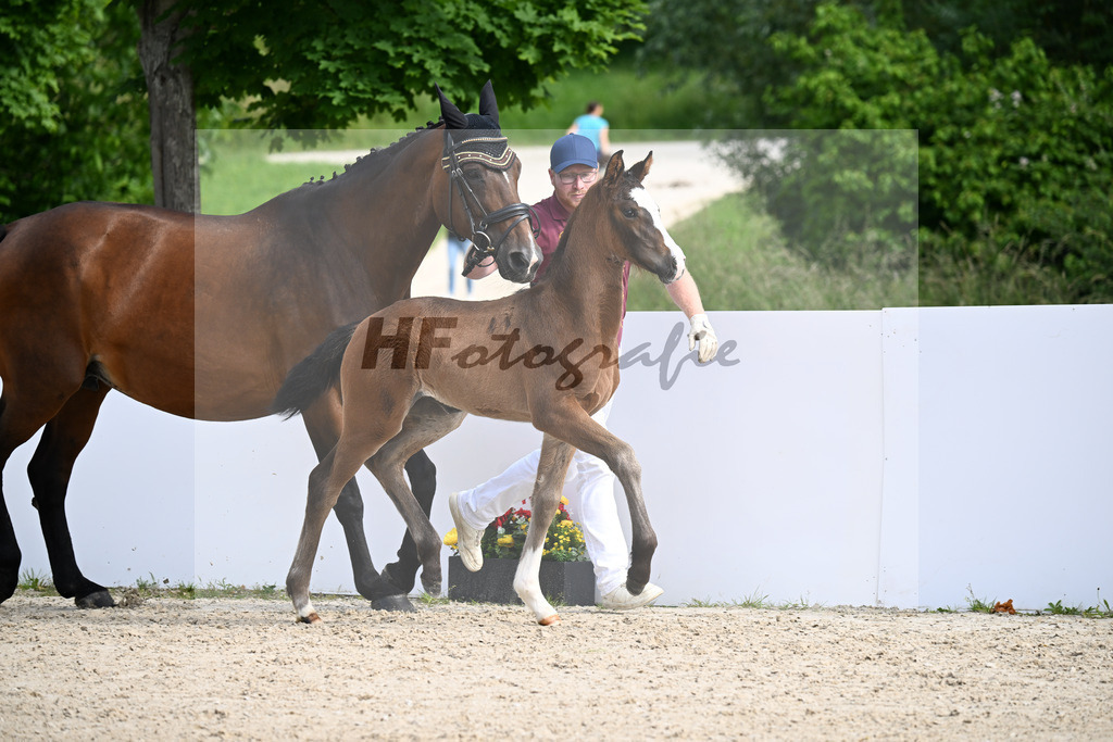 Bon Esprit x Wolkenstein II_SF_Staudenmayer_13250268 | hf-fotografie - Realizzato con Pictrs.com