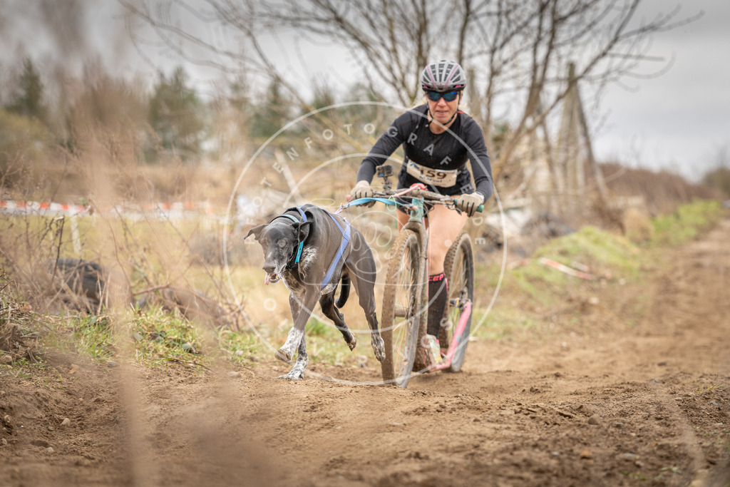 DV3A1722 | Hundefotografie, Tierfotograf, Pfotenfotografie, Fotoshooting Hund, Hunde Portrait, Hundesport, Hundeportraits, Heideshooting, Hunde, Sportfotograf, Hundefotograf, Turnierhundsport, THS,  - Realisiert mit Pictrs.com