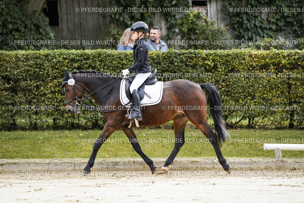 DSC05175 | Pferdegrafie