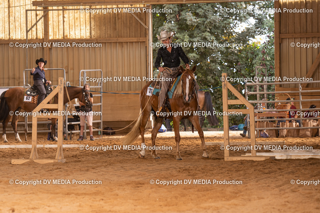 NID00644 | dv-media-shop - Realisiert mit Pictrs.com