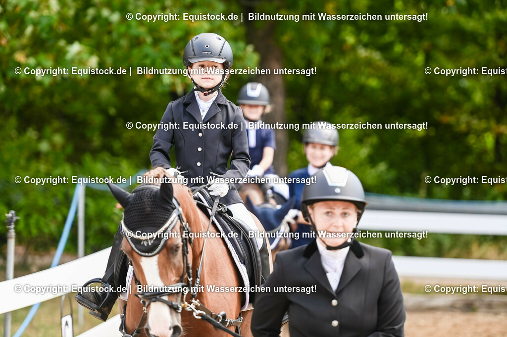 20230716_11_Führzügel-WB_0167 | equistock