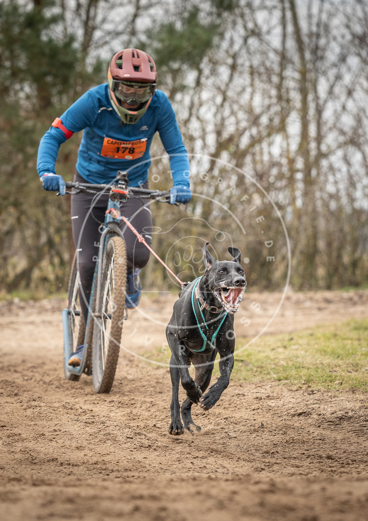Pfotenfotografie_DV3A9537 | Hundefotografie, Tierfotograf, Pfotenfotografie, Fotoshooting Hund, Hunde Portrait, Hundesport, Hundeportraits, Heideshooting, Hunde, Sportfotograf, Hundefotograf, Turnierhundsport, THS,  - Realisiert mit Pictrs.com