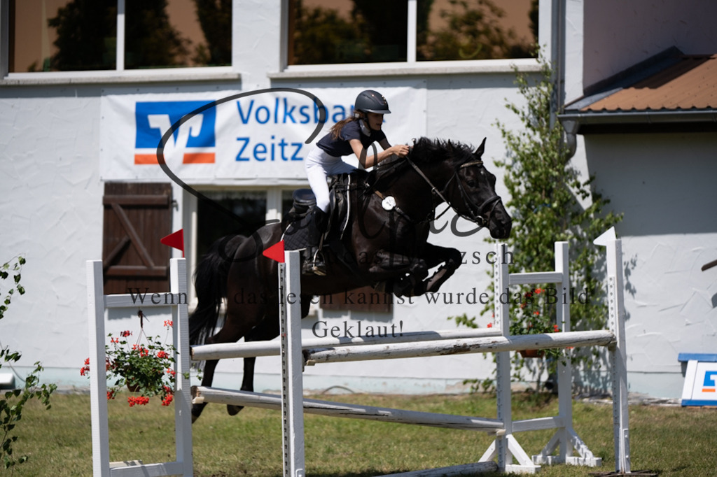 A7V06209 | Pferdefotograf