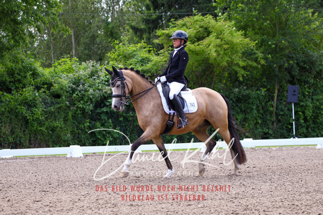 DKP40916 | Turnierfotos kaufen im Webshop von Daniel Kuhl Photography – entdecke professionelle Reitsportfotos aus Turnieren & Events. Hochwertige Turnierbilder online bestellen & sichern. Jetzt Fotos von Reitsportturnieren kaufen!