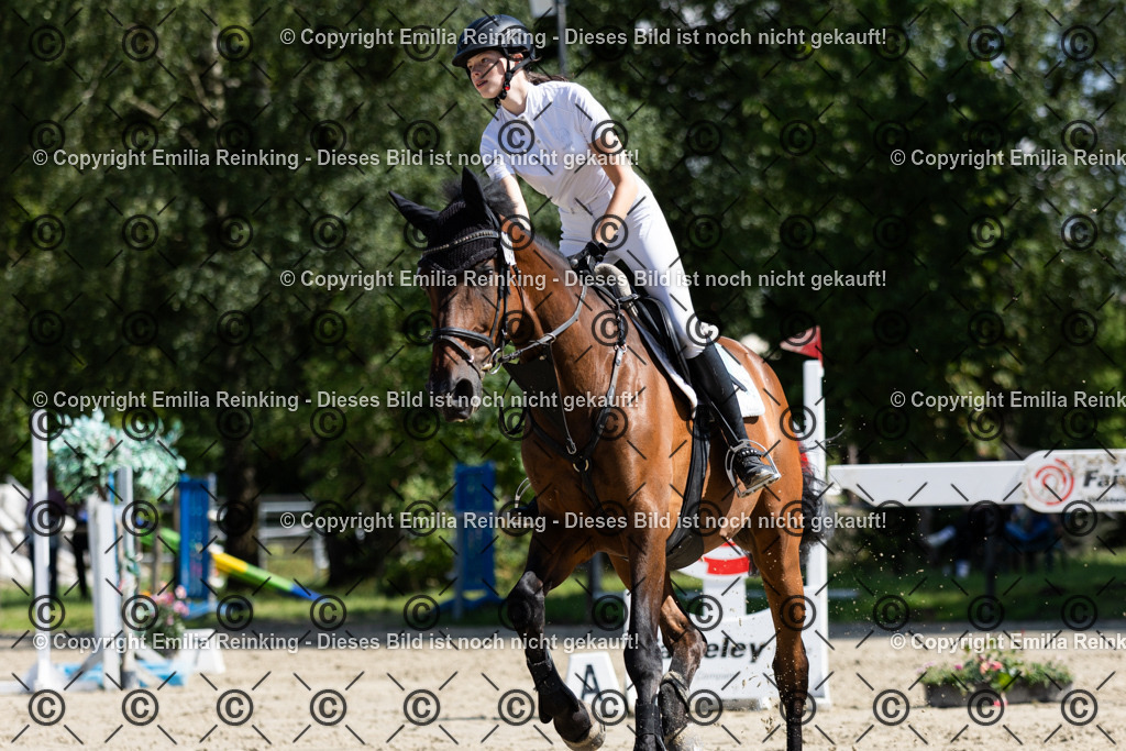 CL5A1161 | Emilia Reinking Fotografie - Realisiert mit Pictrs.com