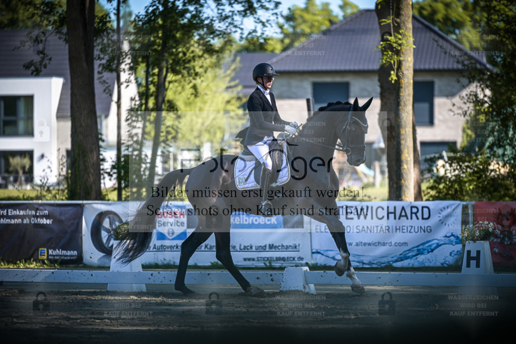 DOS_6308 | Entdecke hochwertige Reitturnierfotos von Foto Oger. Professionell, emotional und authentisch – jetzt Lieblingsmomente im Shop bestellen. - Realisiert mit Pictrs.com