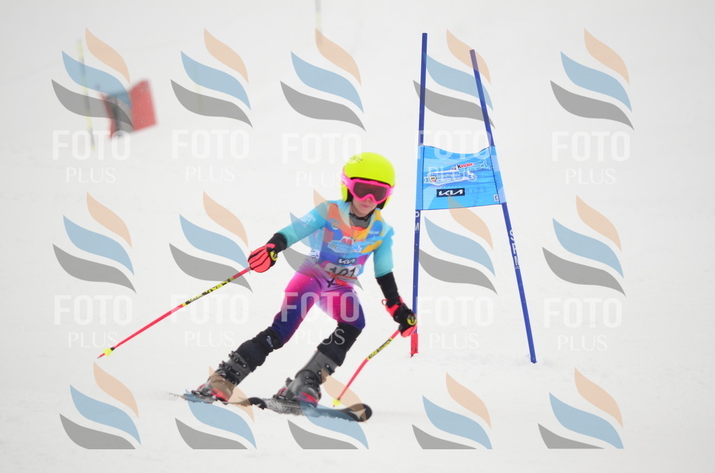 C1387 | holidayphoto