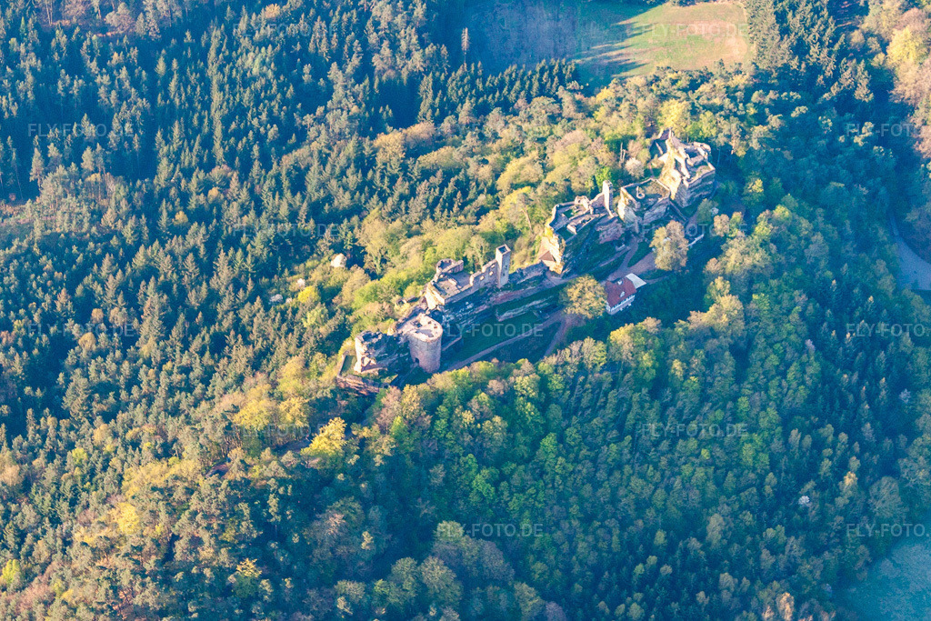 Luftbild: Burg Altdahn bei Dahn in Dahn im Bundesland Rheinland-Pfalz in Deutschland. Foto: IMG_39636.jpg vom 16.04.2011 durch Werner Riehm/FLY-FOTO.de