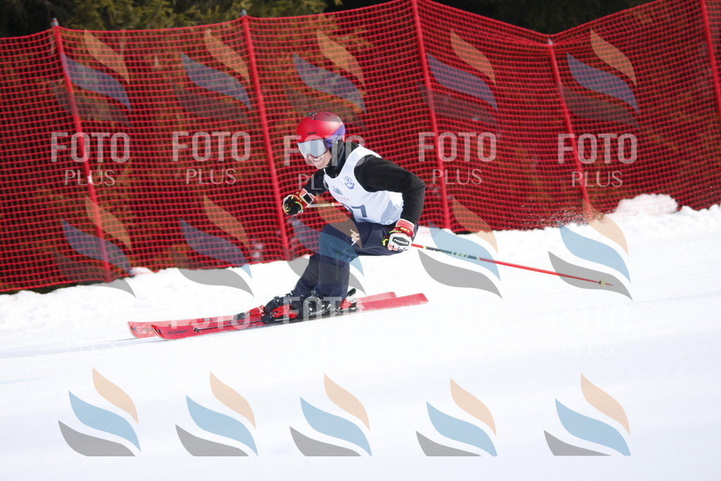 D7992 | holidayphoto