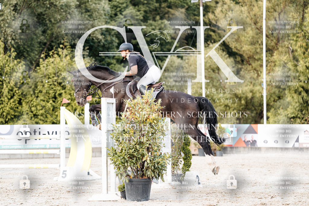CK903850 | Turnierfotografie Pferdefotografie Trier Rheinland-Pfalz Pferdesport Reitsport Tierfotografie Sportfotografie Pferdevideo Pferdevideografie Equestrianvideography equestrianphotography  - Realisiert mit Pictrs.com